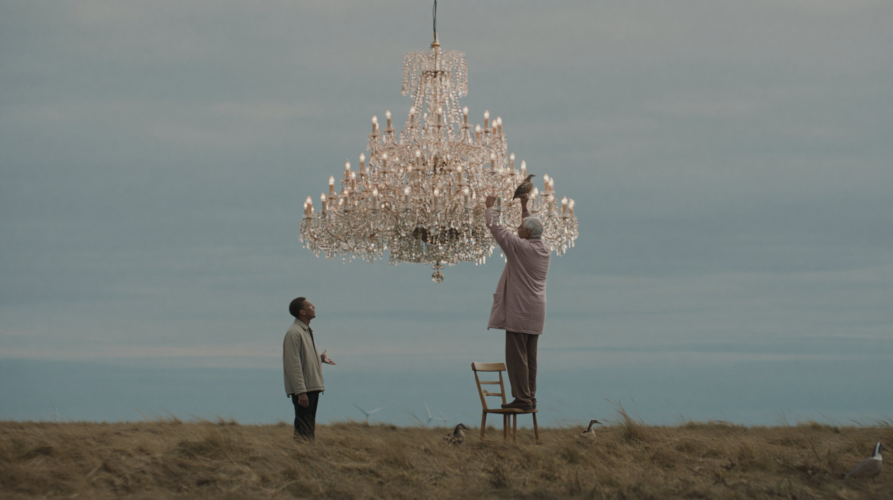 An older man stands on a chair and reaches into a large chandelier as a younger man watches among birds in an open field.